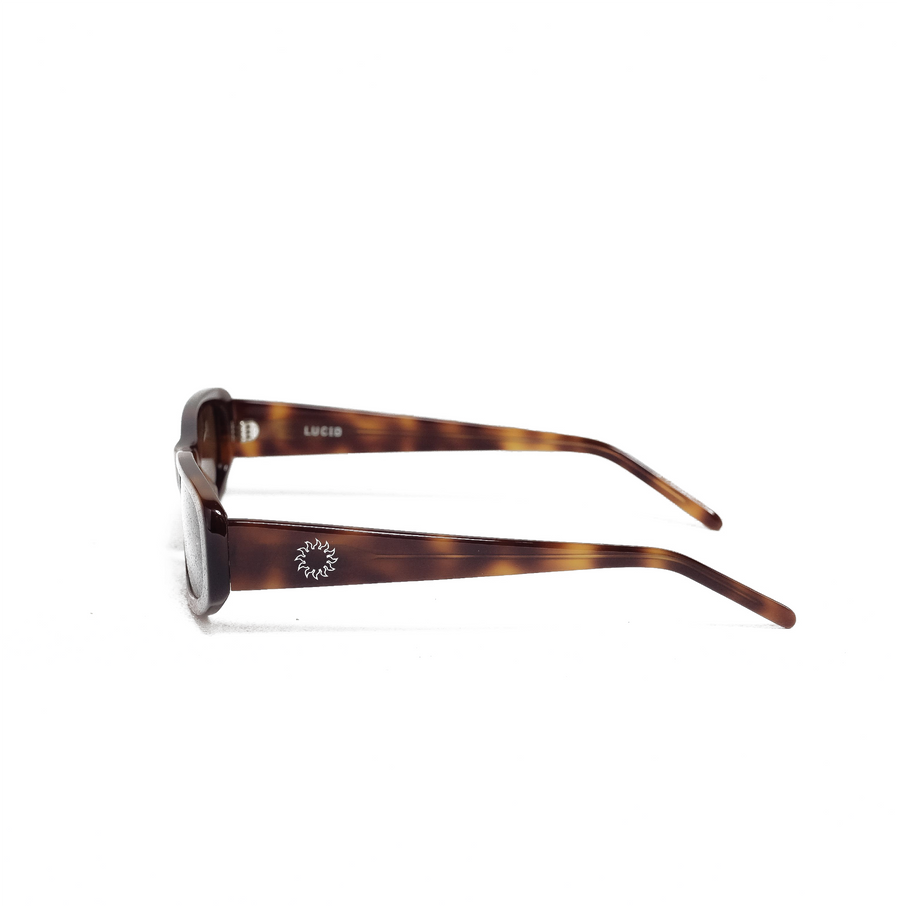 Avoir Eyewear - Lucid in Tort - Sunglasses